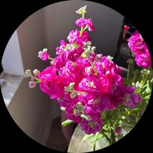 Meet your Posher, Kacey